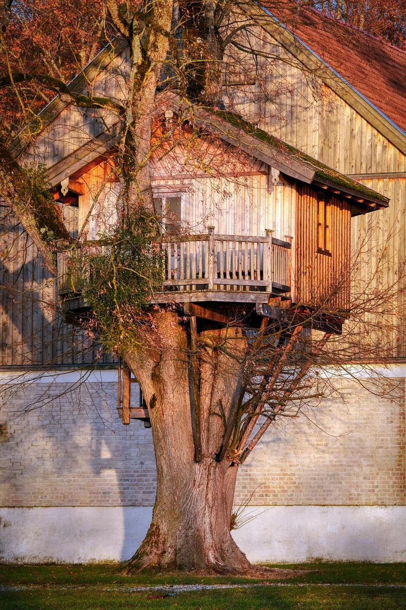 Unique Treehouses