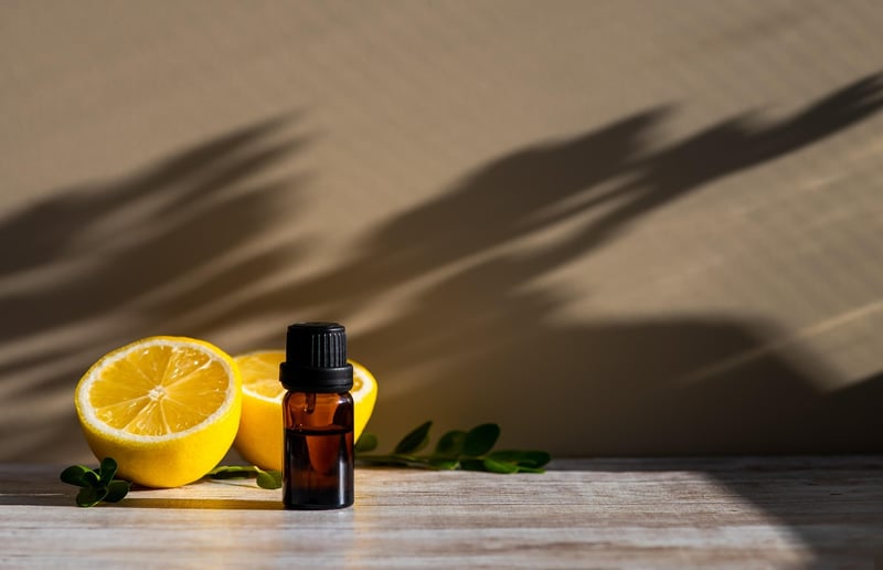 Wellness Workshop
